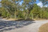  Guava Pass Pl - Photo 2
