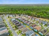 8152 Sun Palm Drive - Photo 29