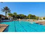 8152 Sun Palm Drive - Photo 36