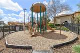 940 Lobelia Drive - Photo 14