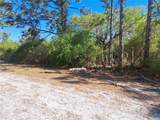20 Avocado Drive - Photo 10