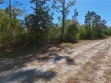 20 Avocado Drive - Photo 18