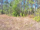 919 El Dorado Drive - Photo 4