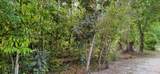  Marjorie Boulevard - Photo 2