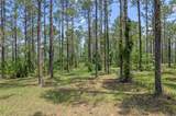 35408 Pinegate Trail - Photo 1