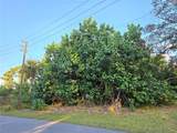 1667 Red Bud Circle - Photo 12