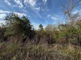 4125 Quail Nest Lane - Photo 4