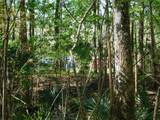 10505 Deep Creek Boulevard - Photo 13