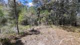  Los Robles Drive - Photo 4