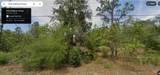11754 Belluzzi Terrace - Photo 1