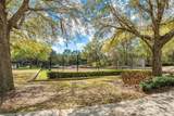 31778 Red Tail Boulevard - Photo 59