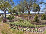 34534 Salerno Circle - Photo 41