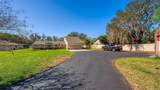 10220 Bumblebee Lane - Photo 4
