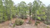 1256 Wahneta Drive - Photo 2
