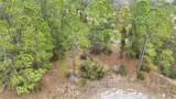 1256 Wahneta Drive - Photo 5