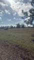 19 Carline Lane - Photo 4