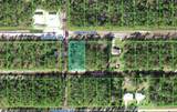623 Japonica Avenue - Photo 1