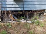 4210 175TH STREET Road - Photo 10