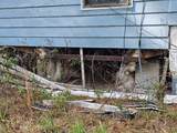 4210 175TH STREET Road - Photo 12