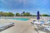 16610 Majestic Court - Photo 57