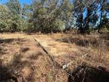 1077 Hamp Farmer Road - Photo 3