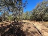 1077 Hamp Farmer Road - Photo 4