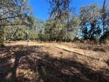 1077 Hamp Farmer Road - Photo 7