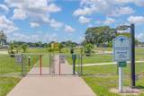 917 Cypress Street - Photo 67