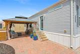 2451 Citrus Tree Road - Photo 20