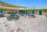 2451 Citrus Tree Road - Photo 21