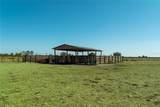 1200 Arbuckle Branch Road - Photo 1