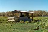 1200 Arbuckle Branch Road - Photo 14