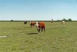 1200 Arbuckle Branch Road - Photo 20