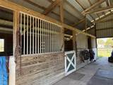 13125 Filly Court - Photo 8