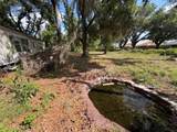 3726 County Road 507 - Photo 9
