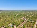 3871 Gallardia Drive - Photo 11