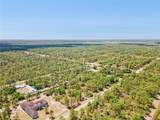 3871 Gallardia Drive - Photo 12