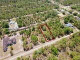 3871 Gallardia Drive - Photo 6