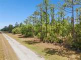 3871 Gallardia Drive - Photo 7