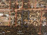  Orange Blossom Lane - Photo 1