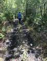 2449 Old Train Road - Photo 1