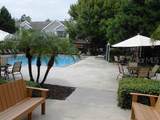 13013 Mulberry Park Drive - Photo 12