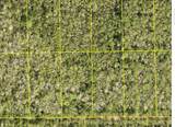 Pid 710801150230 No Street - Photo 1