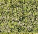  Pid 710801150220 No Street - Photo 1