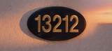 13212 Social Lane - Photo 5