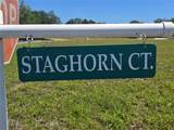 14025 Stag Horn Court - Photo 72
