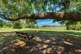 650 Old Mims Road - Photo 81