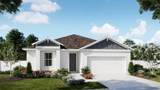 27468 Black Kite Avenue - Photo 1