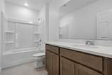 27456 Black Kite Avenue - Photo 16
