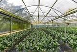18021 Apshawa Road - Photo 22